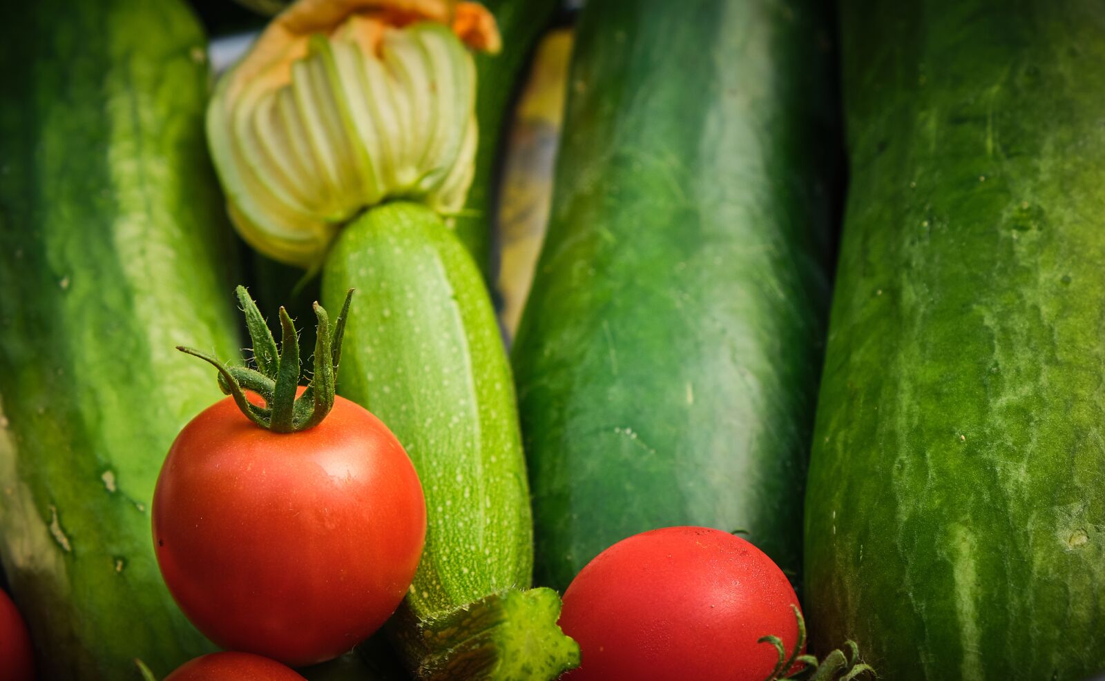 Fujifilm XF 18-55mm F2.8-4 R LM OIS sample photo. Harvest, vegetables, tomato photography