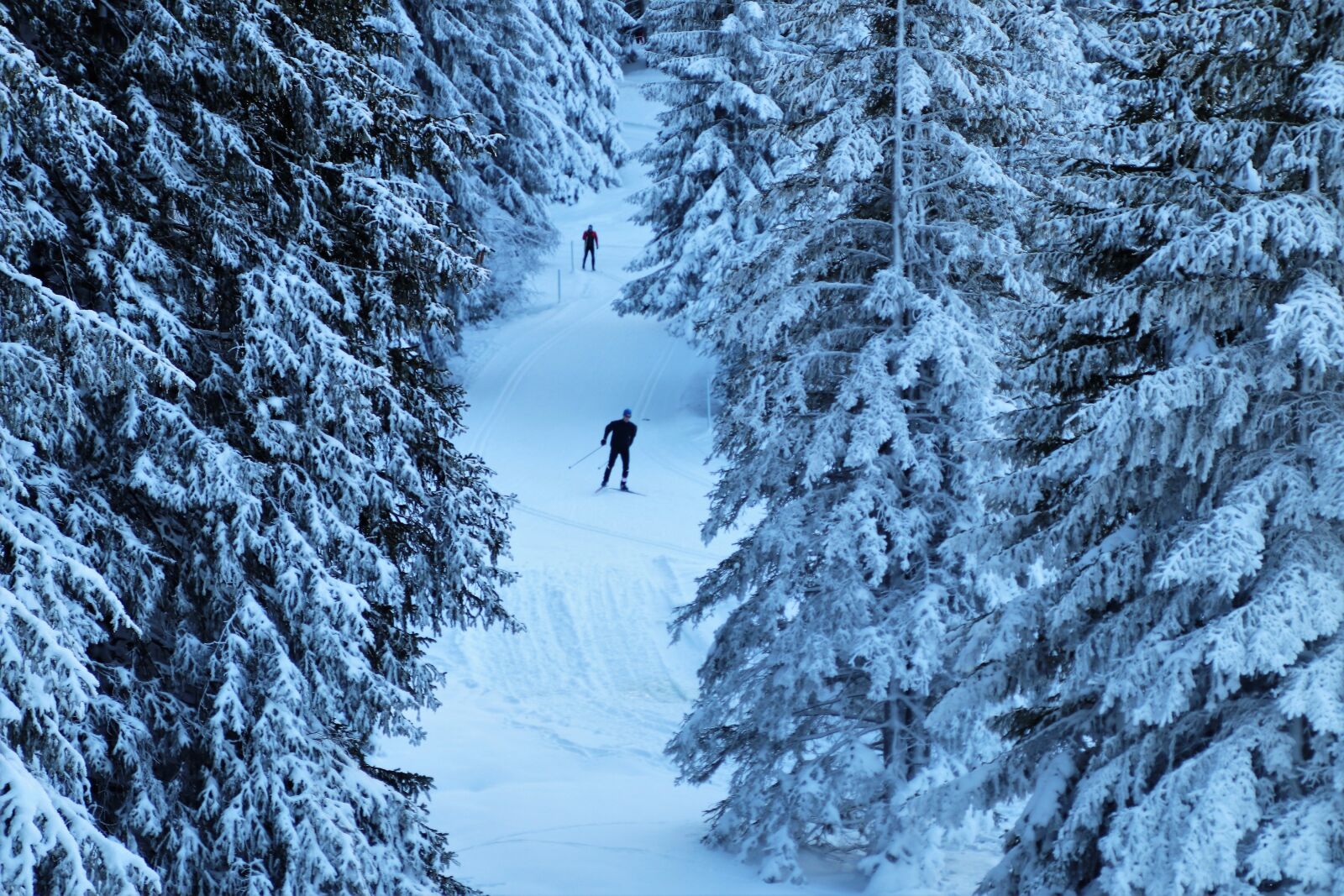 Canon EOS 80D sample photo. Route, ski, vacations photography