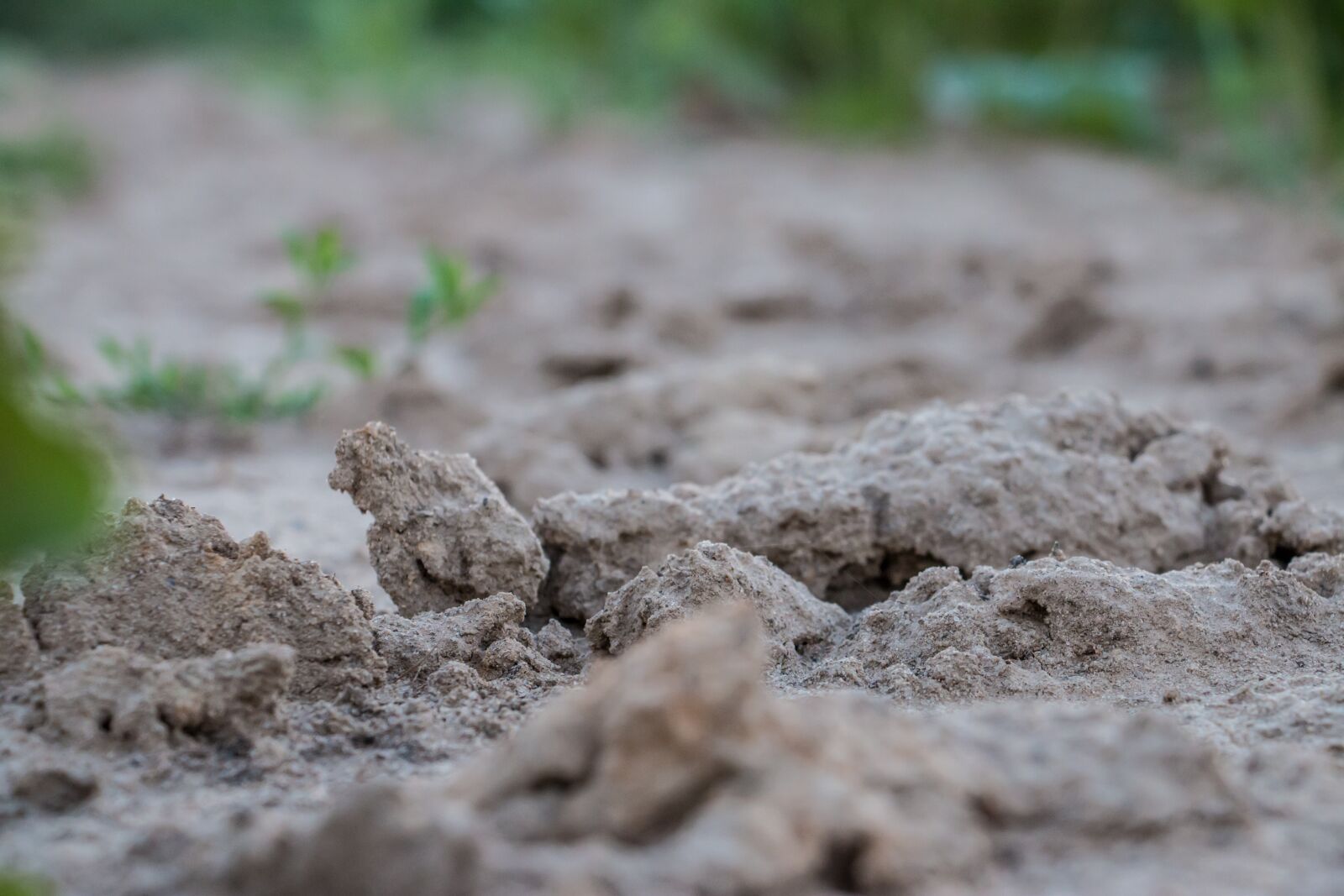 Canon EOS 70D sample photo. Earth, ground, cracked photography