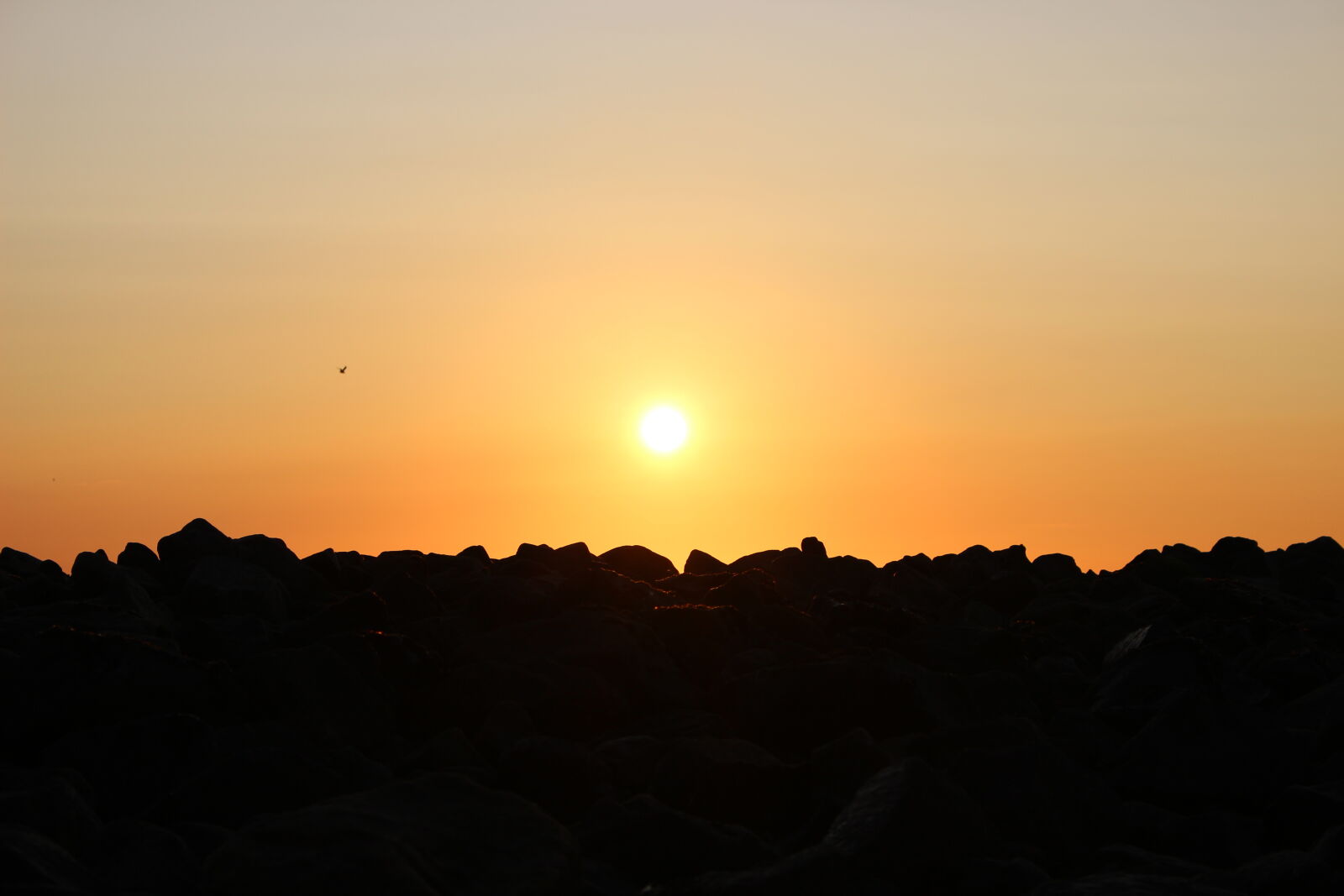 Canon EOS 100D (EOS Rebel SL1 / EOS Kiss X7) sample photo. Gelb, horizont, natur, schwarz photography