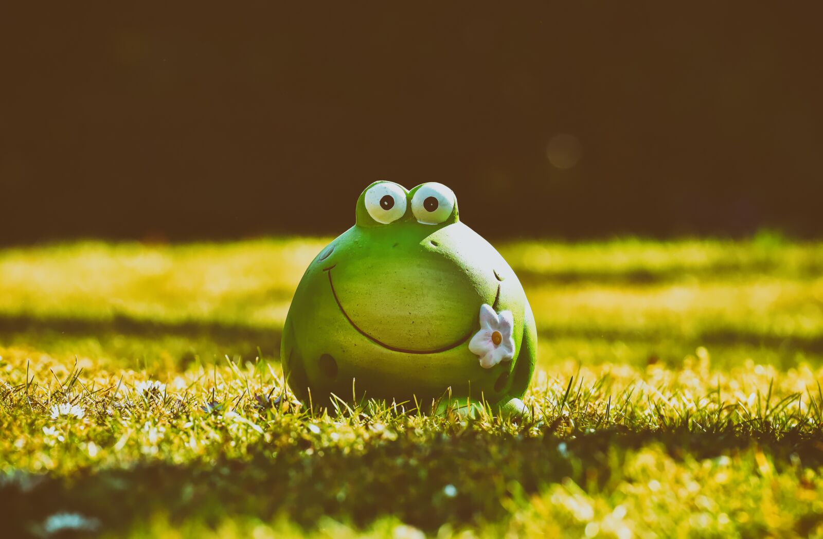 Nikon D7200 sample photo. Frog, figure, meadow photography