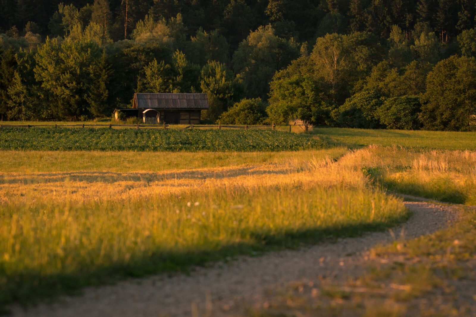 Sony SLT-A65 (SLT-A65V) sample photo. Landscape, fields, nature photography