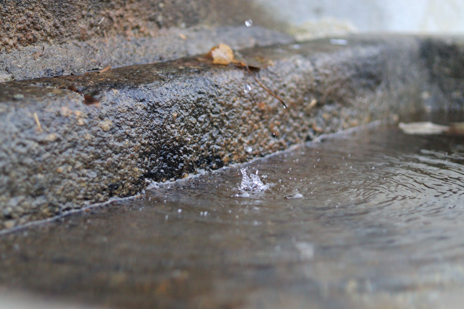 Canon EOS 250D (EOS Rebel SL3 / EOS Kiss X10 / EOS 200D II) + Canon EF 50mm F1.8 STM sample photo. Water, water drops, waterdrop photography