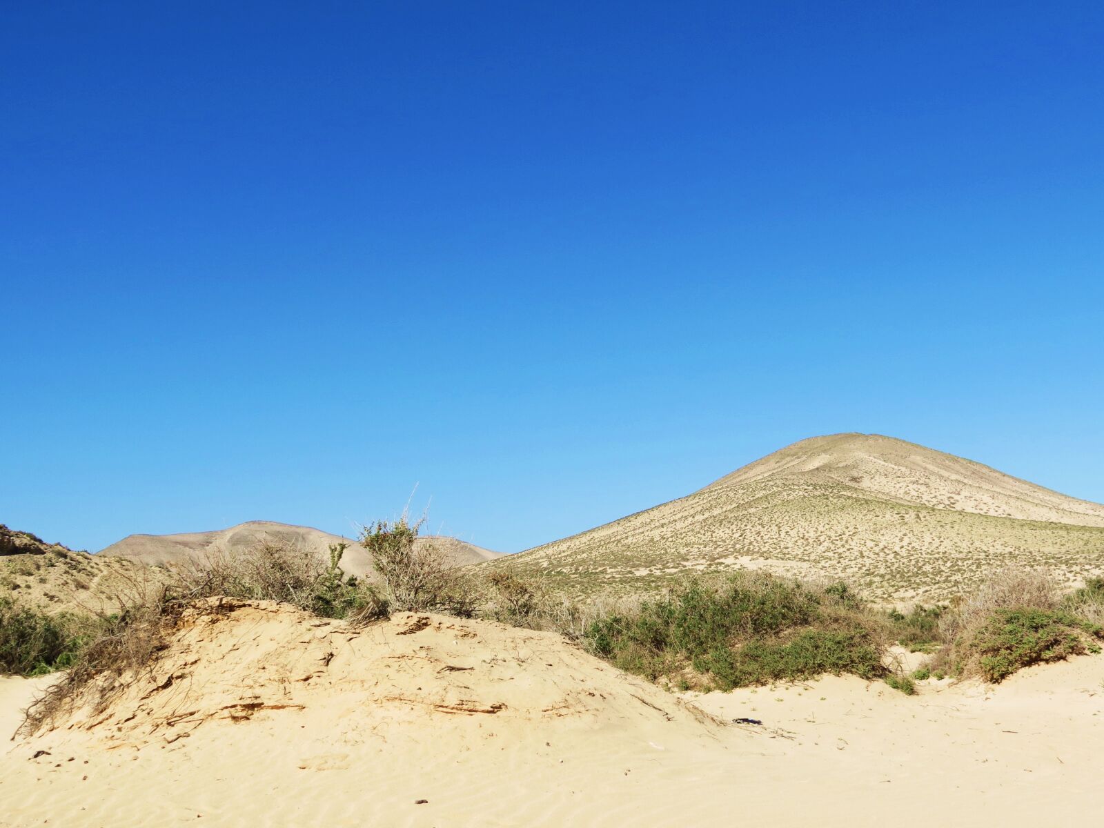 Canon PowerShot SX40 HS sample photo. Fuerteventura, beach, canary islands photography