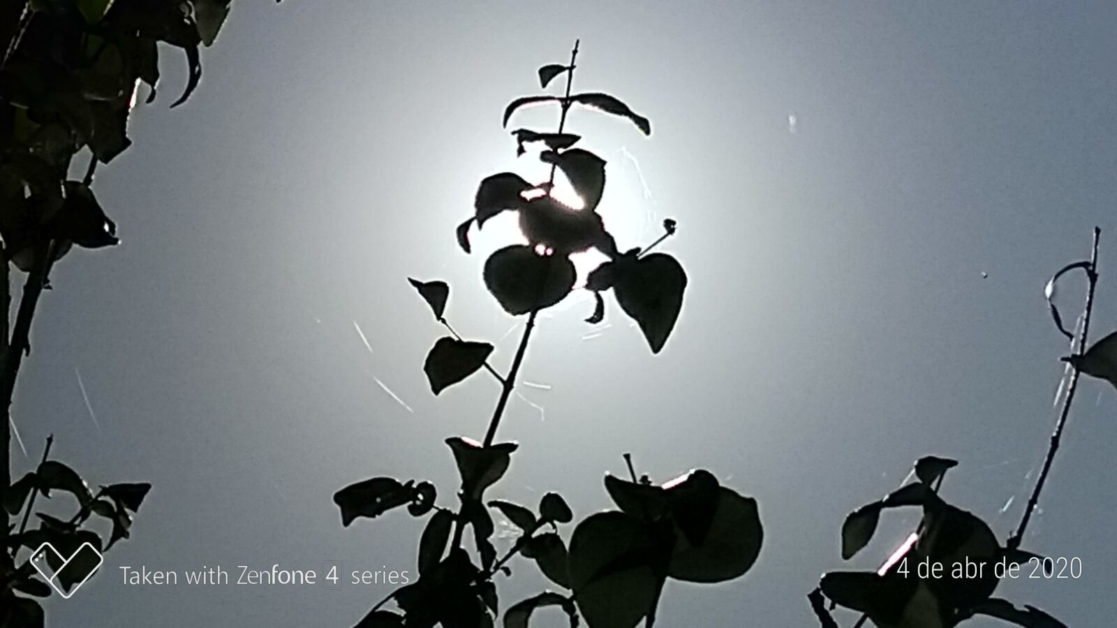 ASUS ZenFone 4 Selfie Pro (ZD552KL) sample photo. Sombra, sol, natureza photography