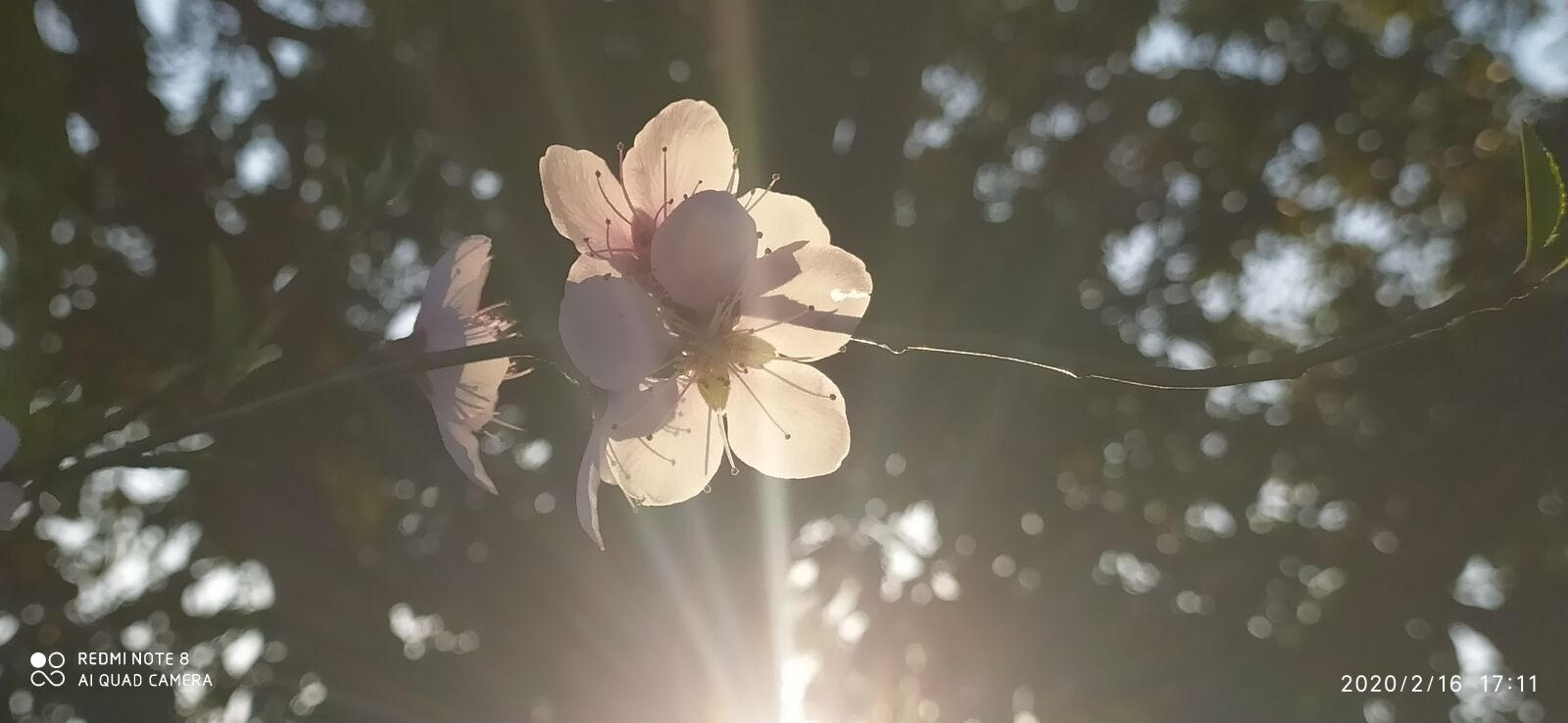 Xiaomi Redmi Note 8 sample photo. Ramadan kareem, ramadan mubarak photography