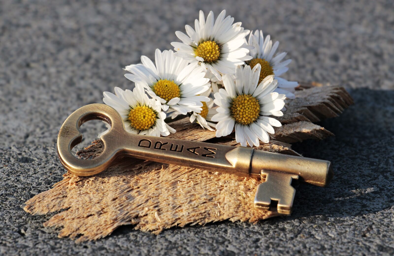Canon EOS 100D (EOS Rebel SL1 / EOS Kiss X7) sample photo. Key, heart, daisy photography
