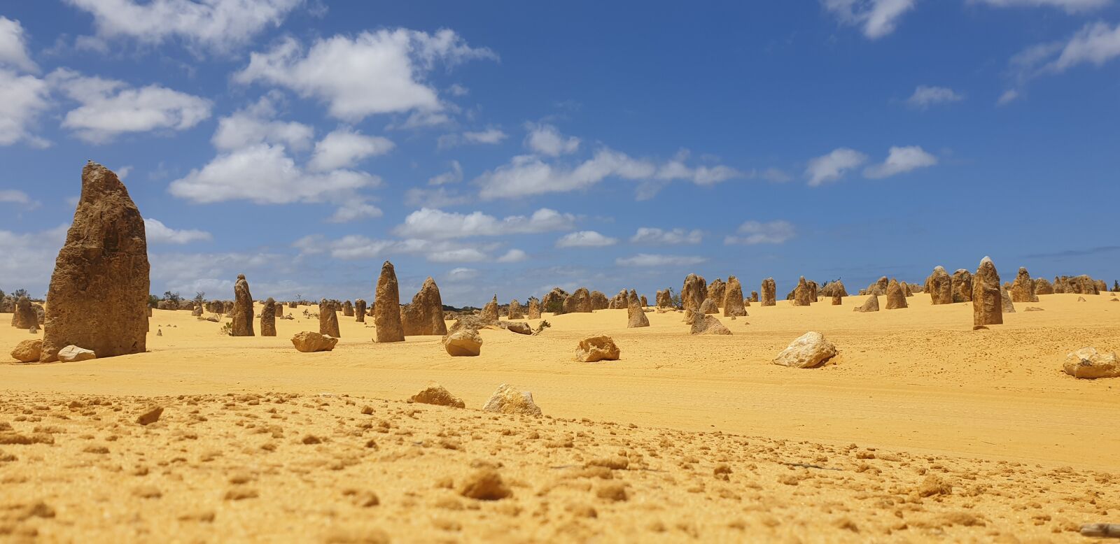 Samsung Galaxy S9+ sample photo. Desert, wa australia, pinnacles photography