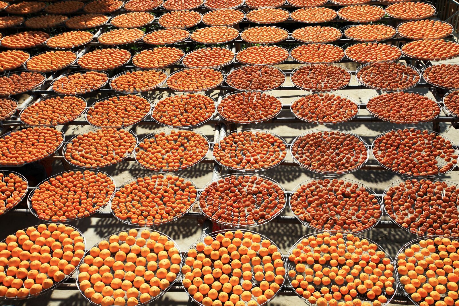 Canon EOS 5D sample photo. Orange, tangerine, chinese dry photography