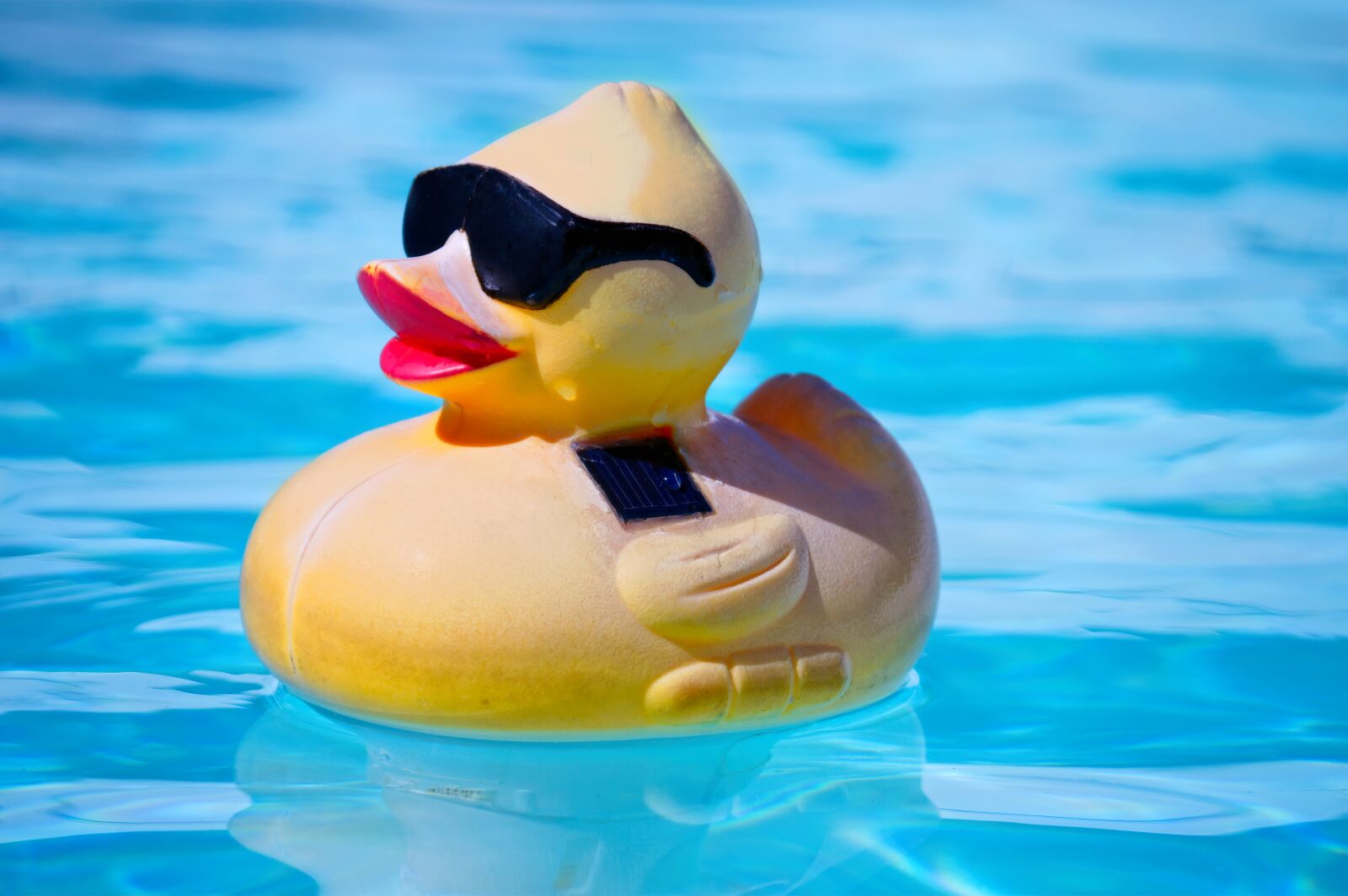 Nikon D3200 sample photo. Rubber duck, toy, pool photography