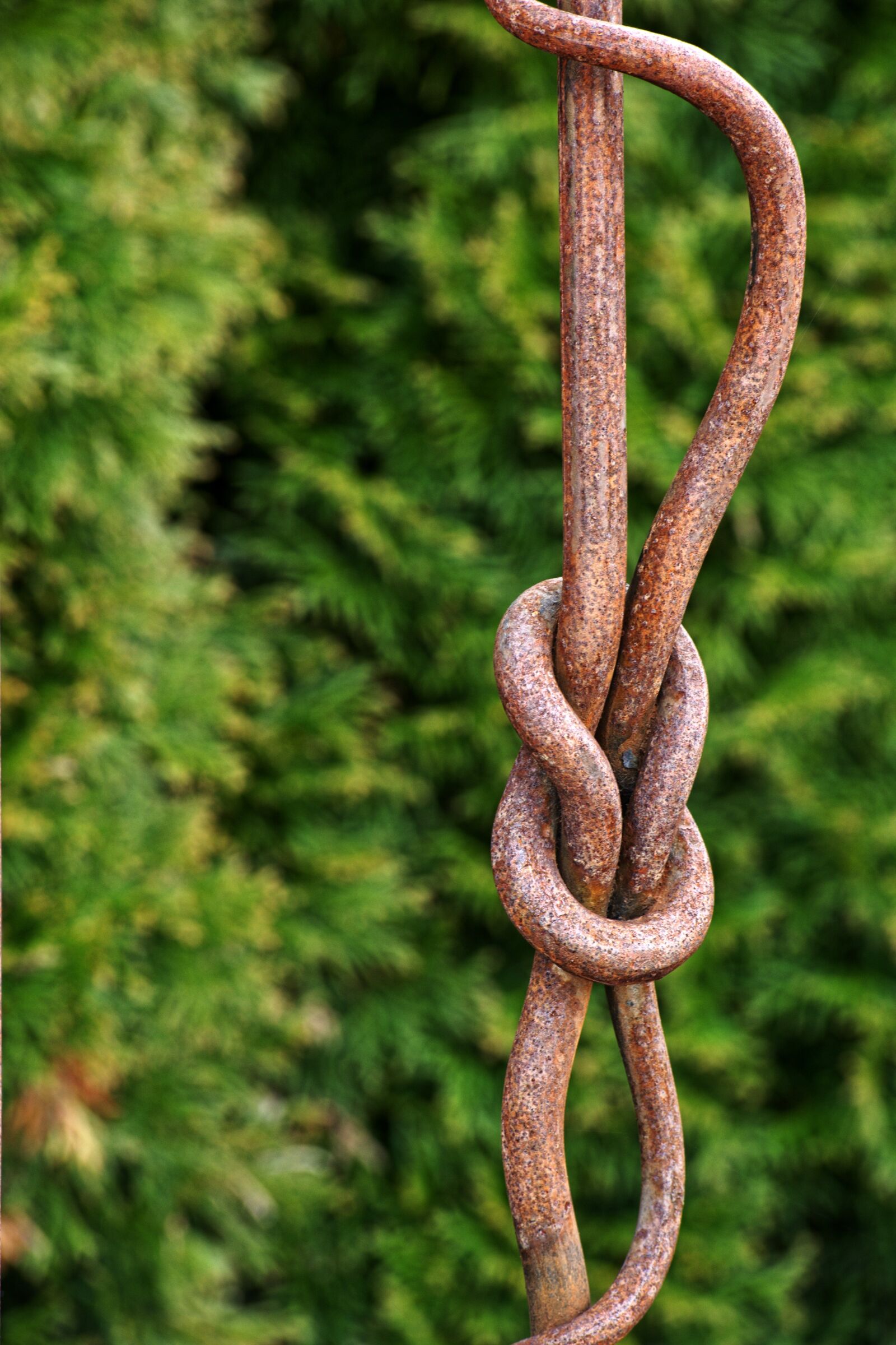 55.0-200.0mm f/4.0-f/5.6 sample photo. Knot, rope, wrought iron photography