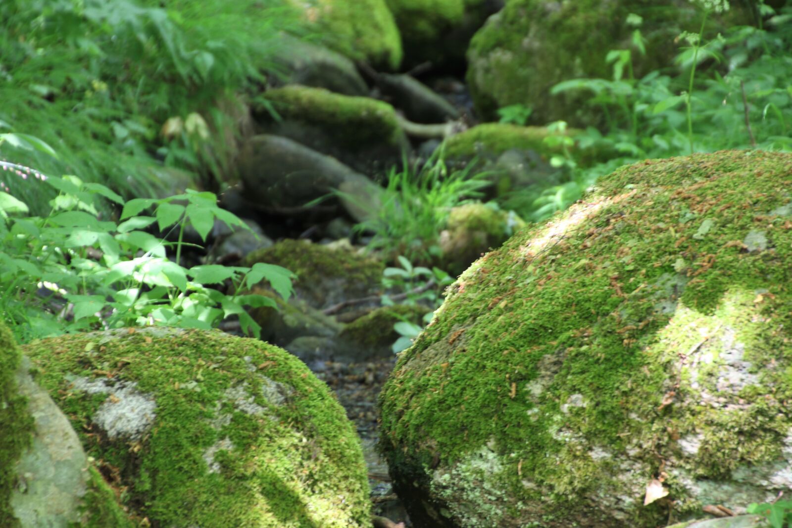 Canon EOS 7D Mark II sample photo. Boulders, fairies, fairy, tale photography