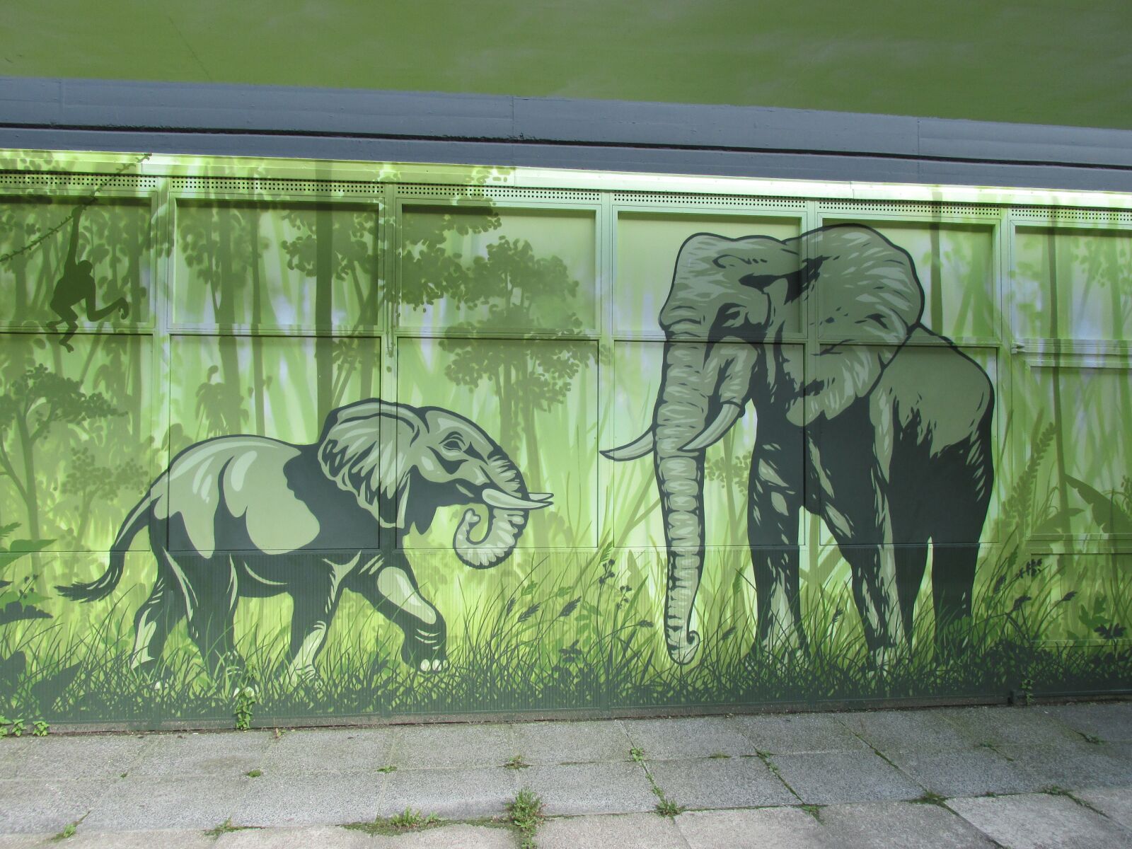 Canon PowerShot SX160 IS sample photo. Elephant, wall art, wall photography