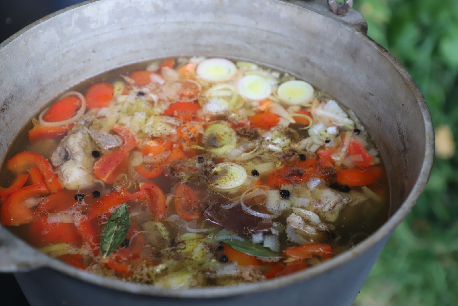Canon EOS 6D Mark II sample photo. Proper nutrition, a healthy photography