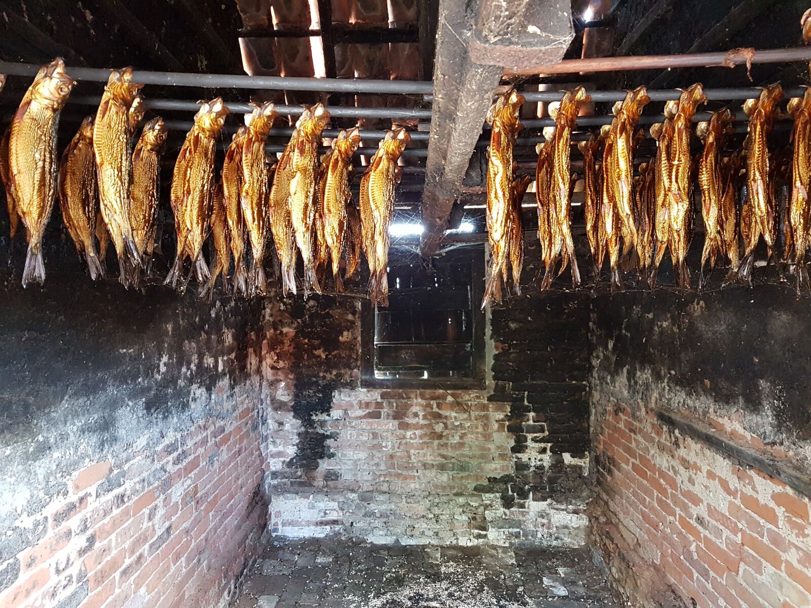 Samsung Galaxy S7 sample photo. Dried, fish, museum photography