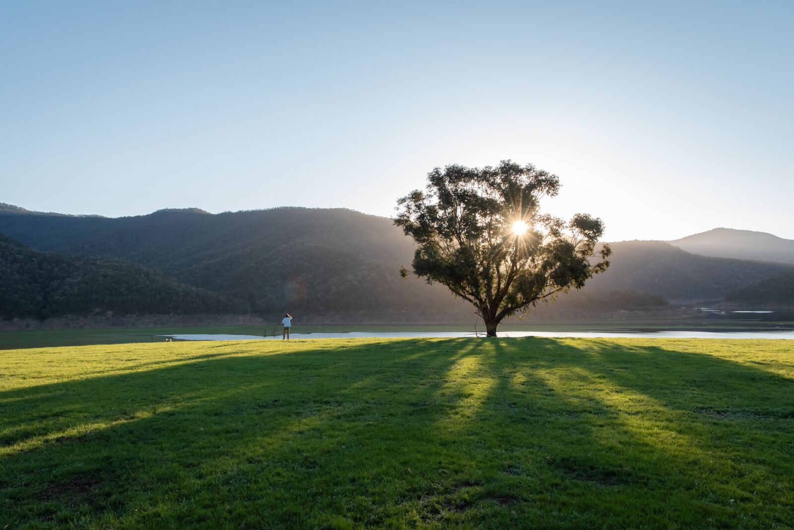 Nikon D750 sample photo. Lake, tree, nature photography