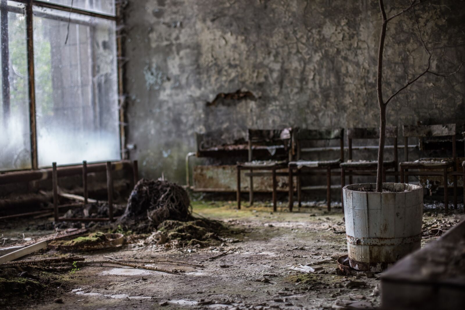 Canon EOS 6D + Canon EF 50mm F1.4 USM sample photo. Chernobyl, ukraine, abandoned photography