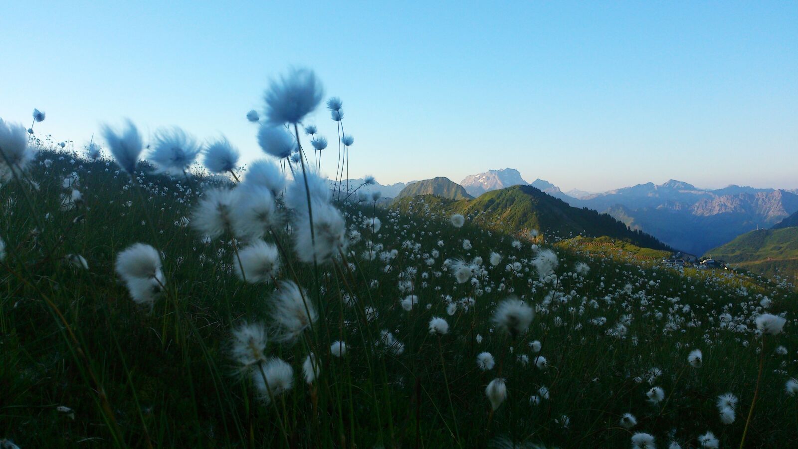 Sony Xperia V sample photo. Mountains, alpine, cottongrass photography