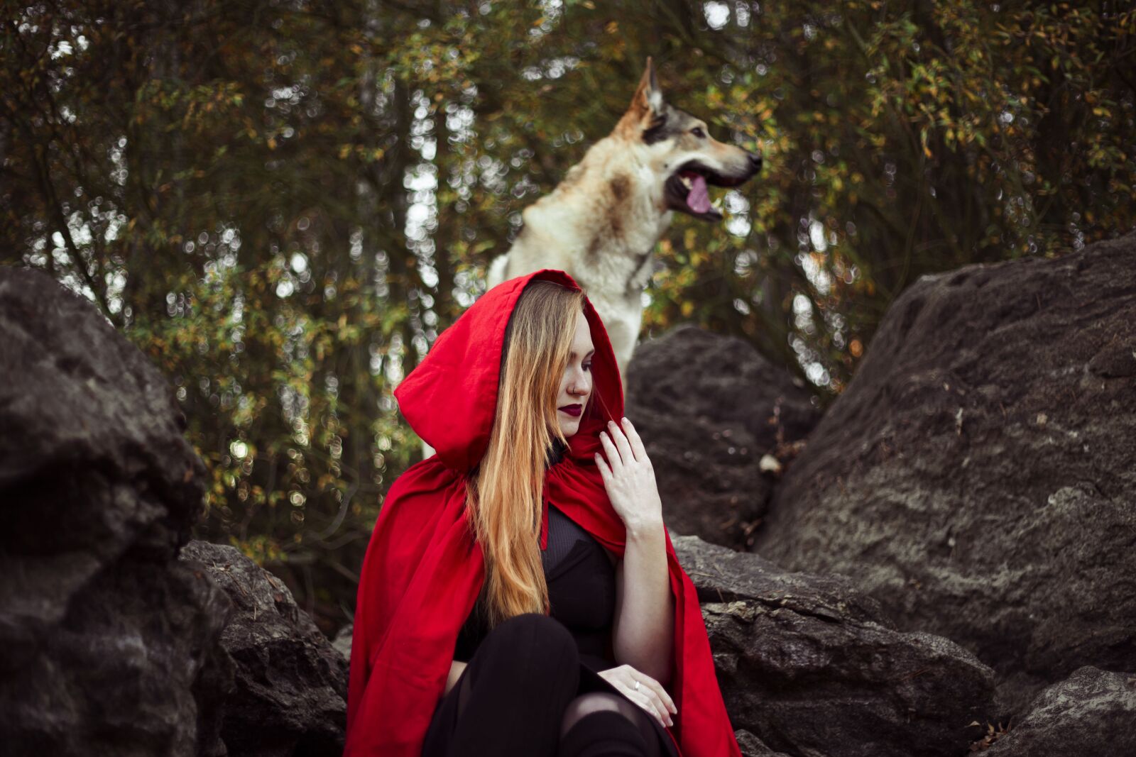 Canon EF 50mm F1.8 II sample photo. Girl, little red riding photography