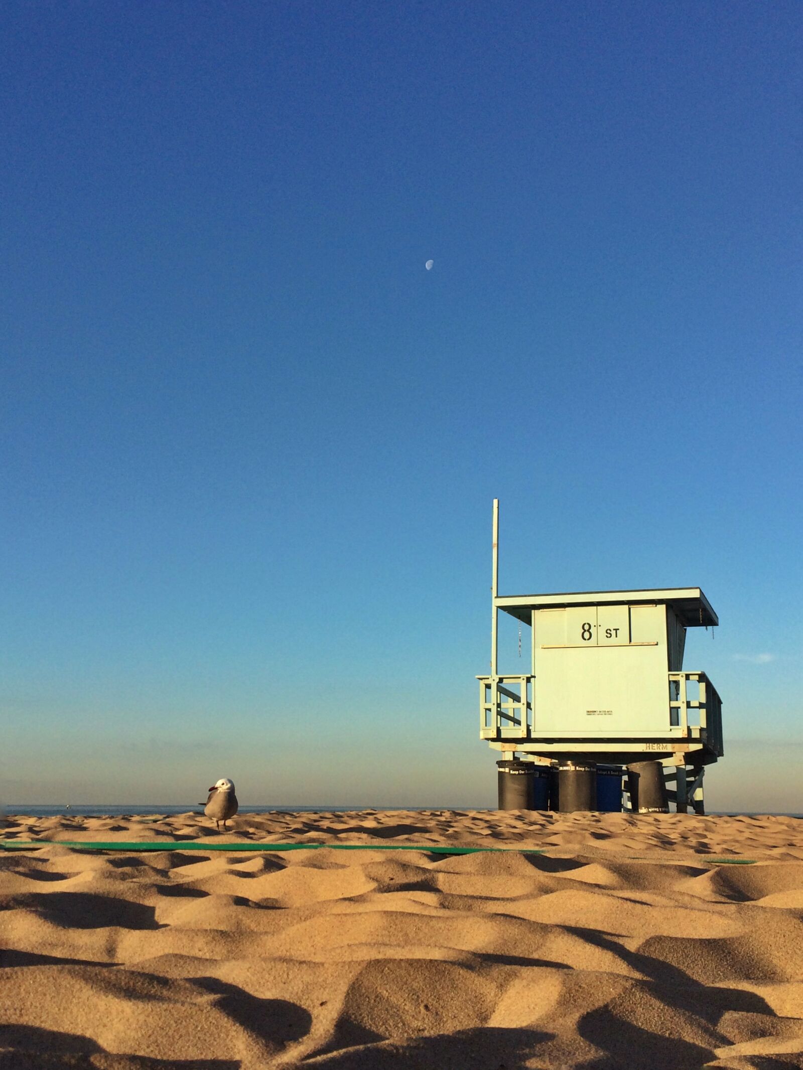 iPhone 5s back camera 4.15mm f/2.2 sample photo. Beach, seagull photography