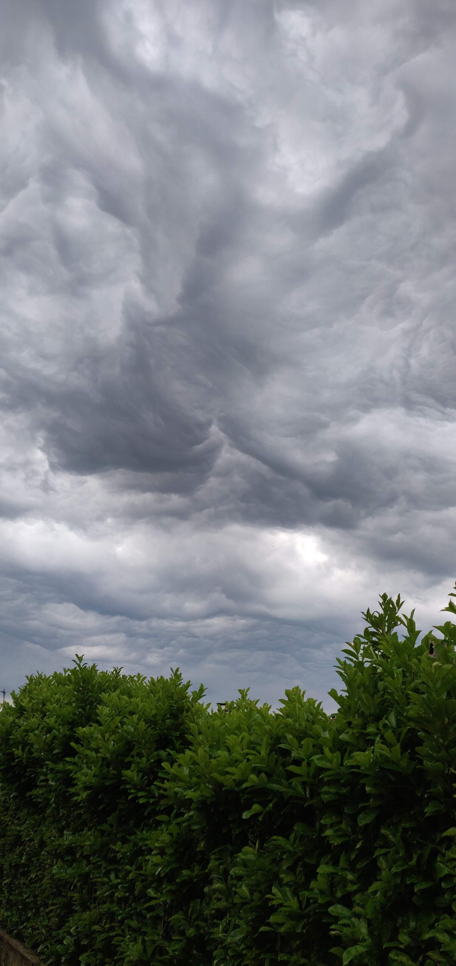OnePlus 6 sample photo. Clouds, green, dark photography