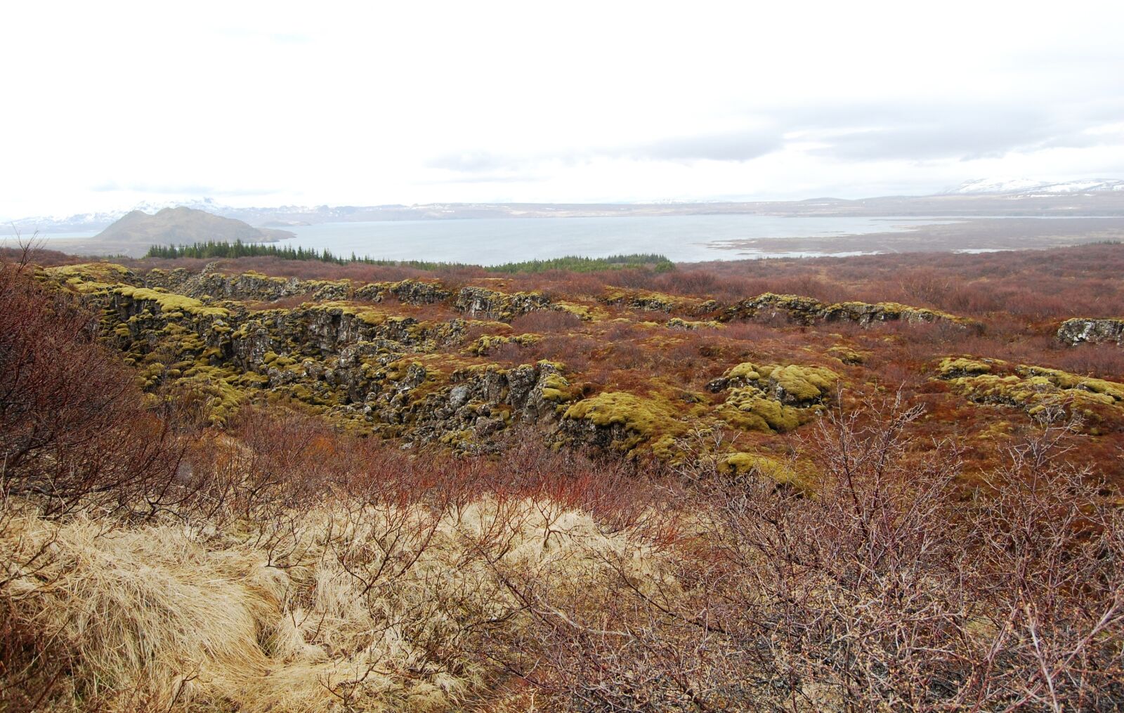 Nikon D40 sample photo. Iceland, the tectonic plates photography
