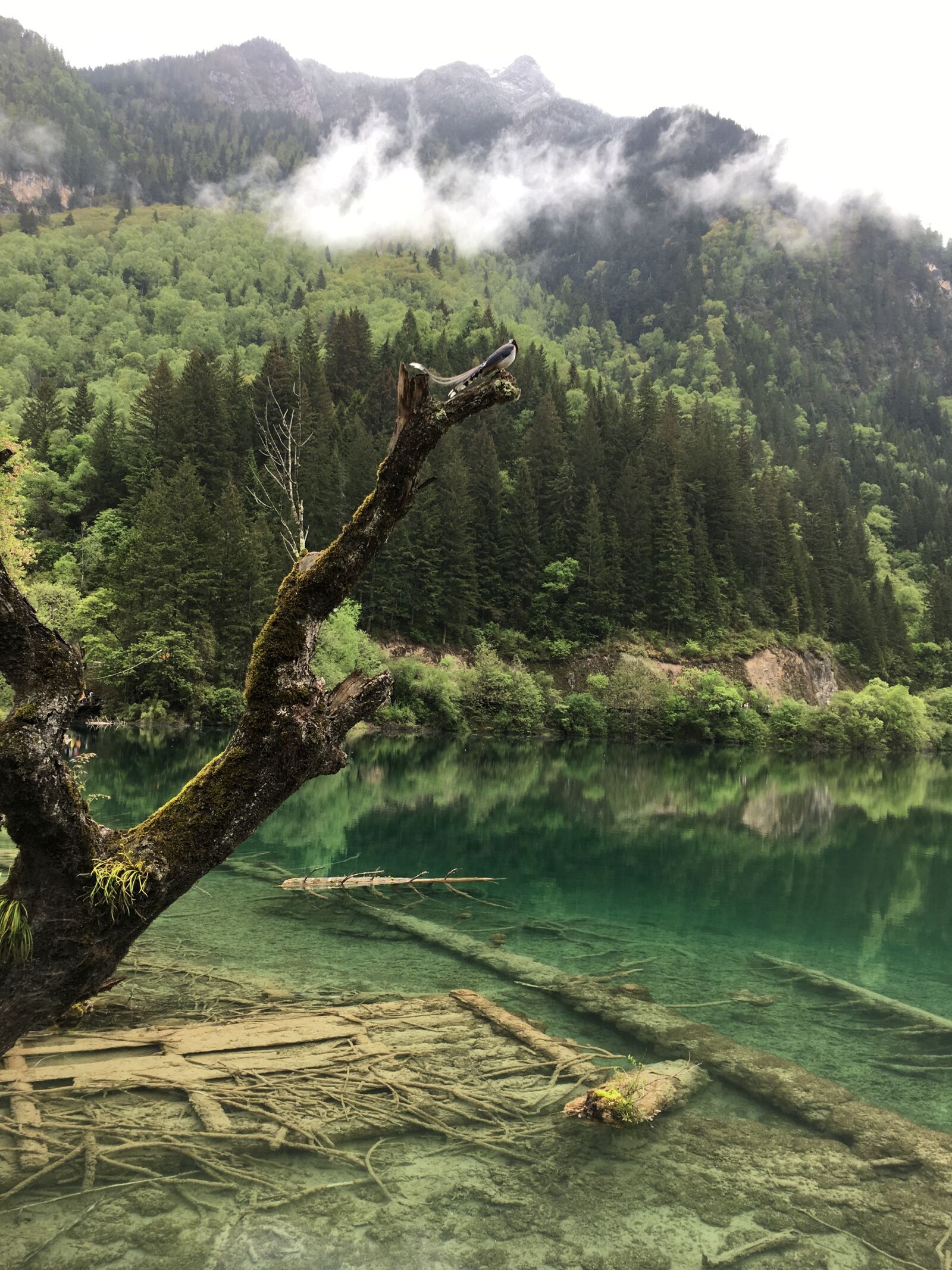 Apple iPhone 6s sample photo. Jiuzhaigou, sichuan, the scenery photography