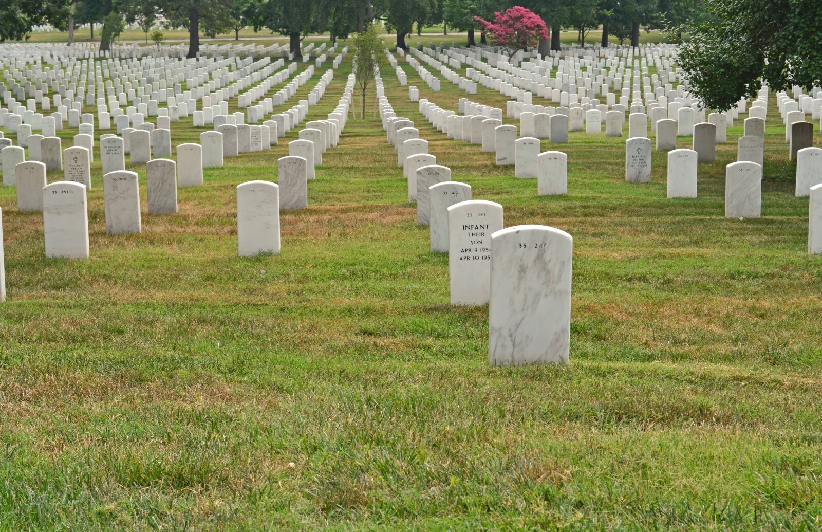 Nikon D5100 sample photo. Virginia, arlington national cemetery photography
