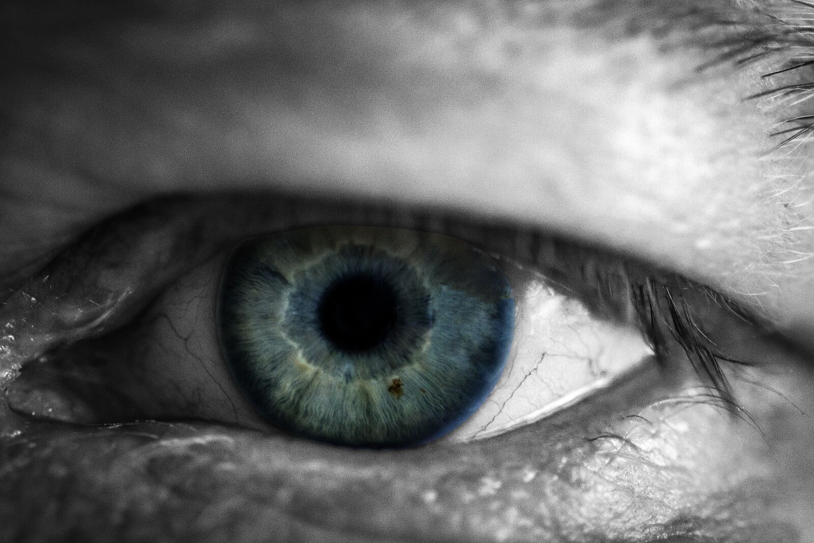 Canon EOS 600D (Rebel EOS T3i / EOS Kiss X5) sample photo. Eyeball, face, eyelash photography