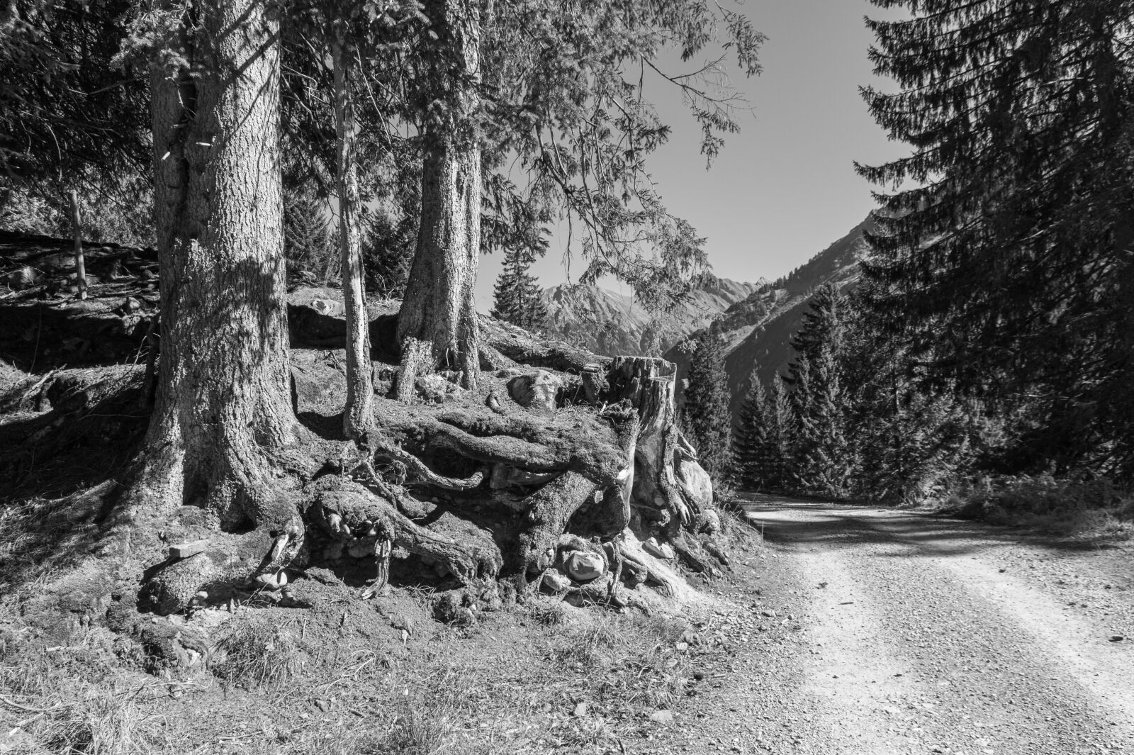 Sony SLT-A58 sample photo. Black and white, mountains photography