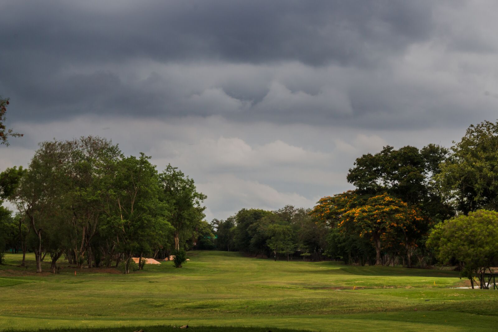 Canon EOS 70D + Canon EF 50mm F1.8 II sample photo. Golf, course, golfing photography