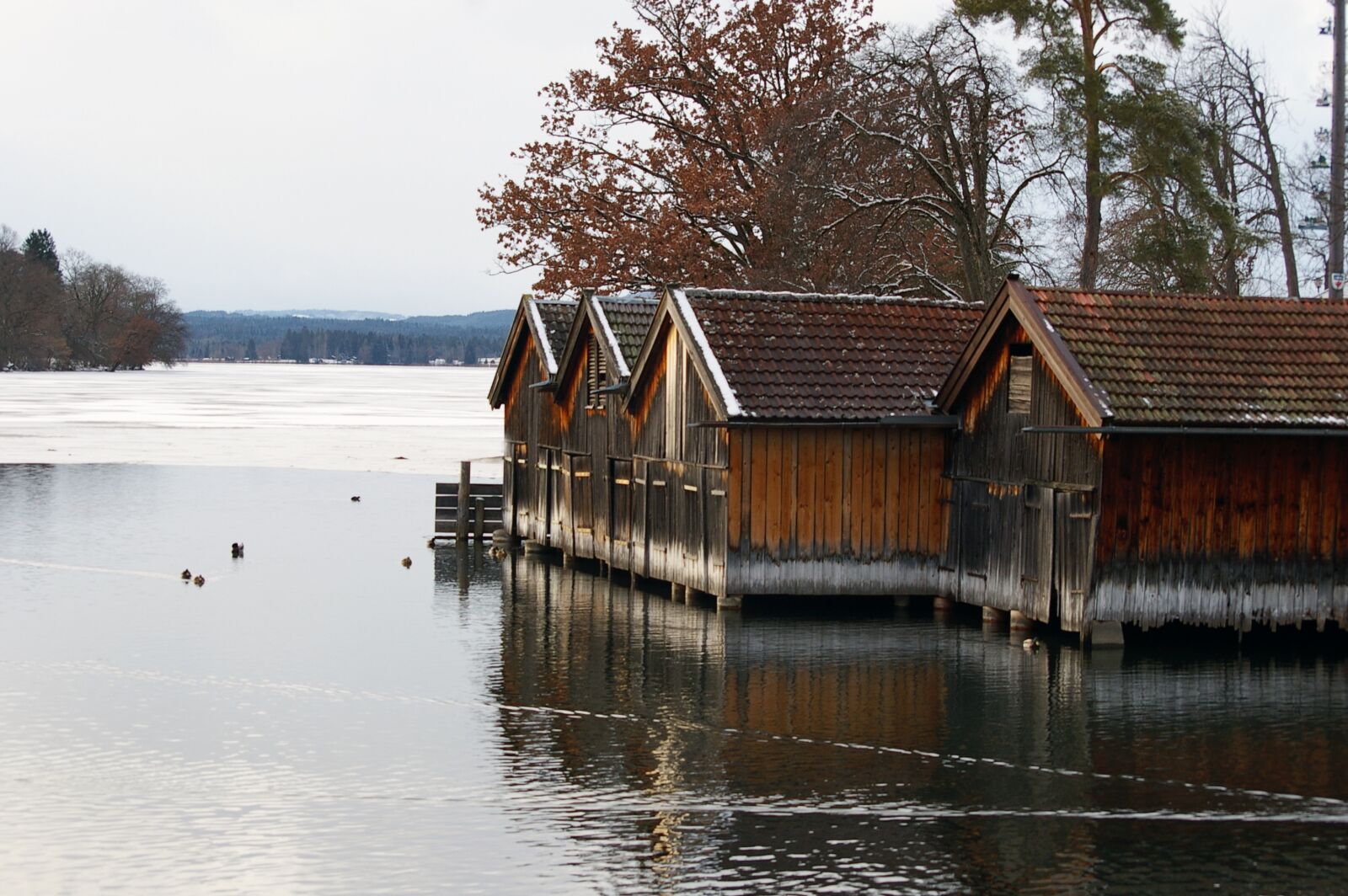 Pentax *ist DL sample photo. Wood, waters, house photography