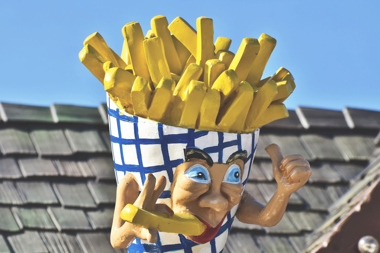 Nikon D7200 sample photo. French fries, figure, advertising photography