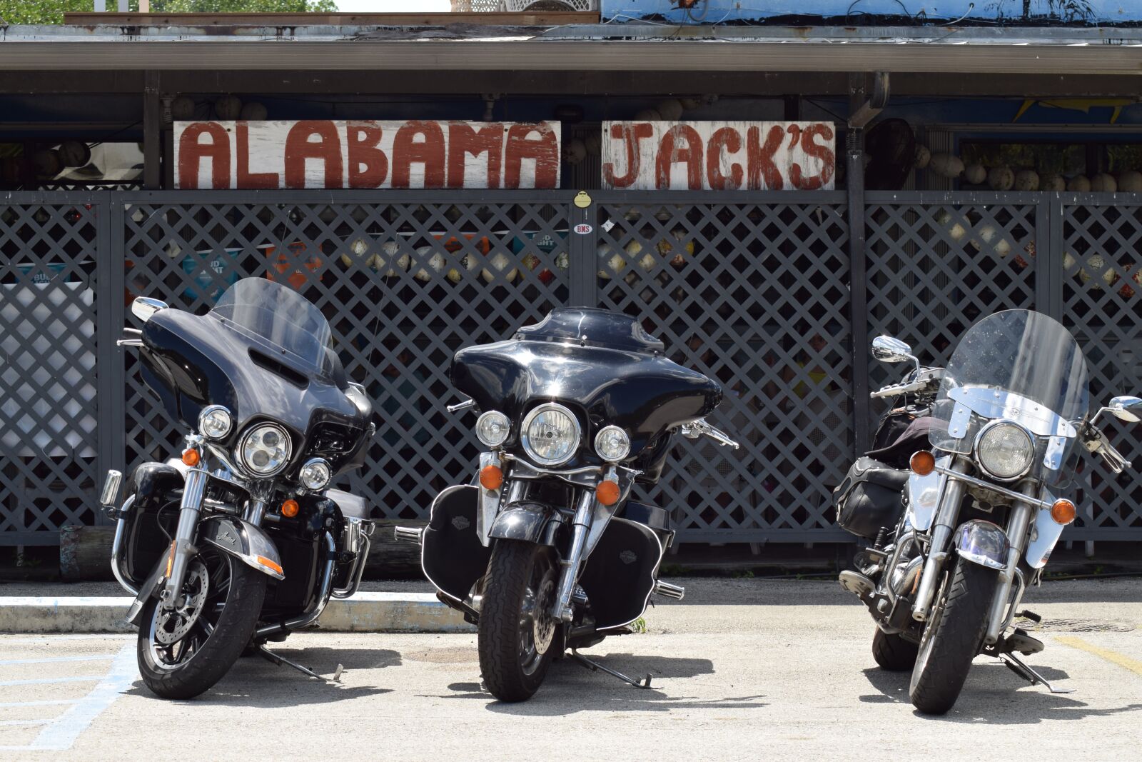 Nikon D5300 sample photo. Alabama jacks, florida, miami photography
