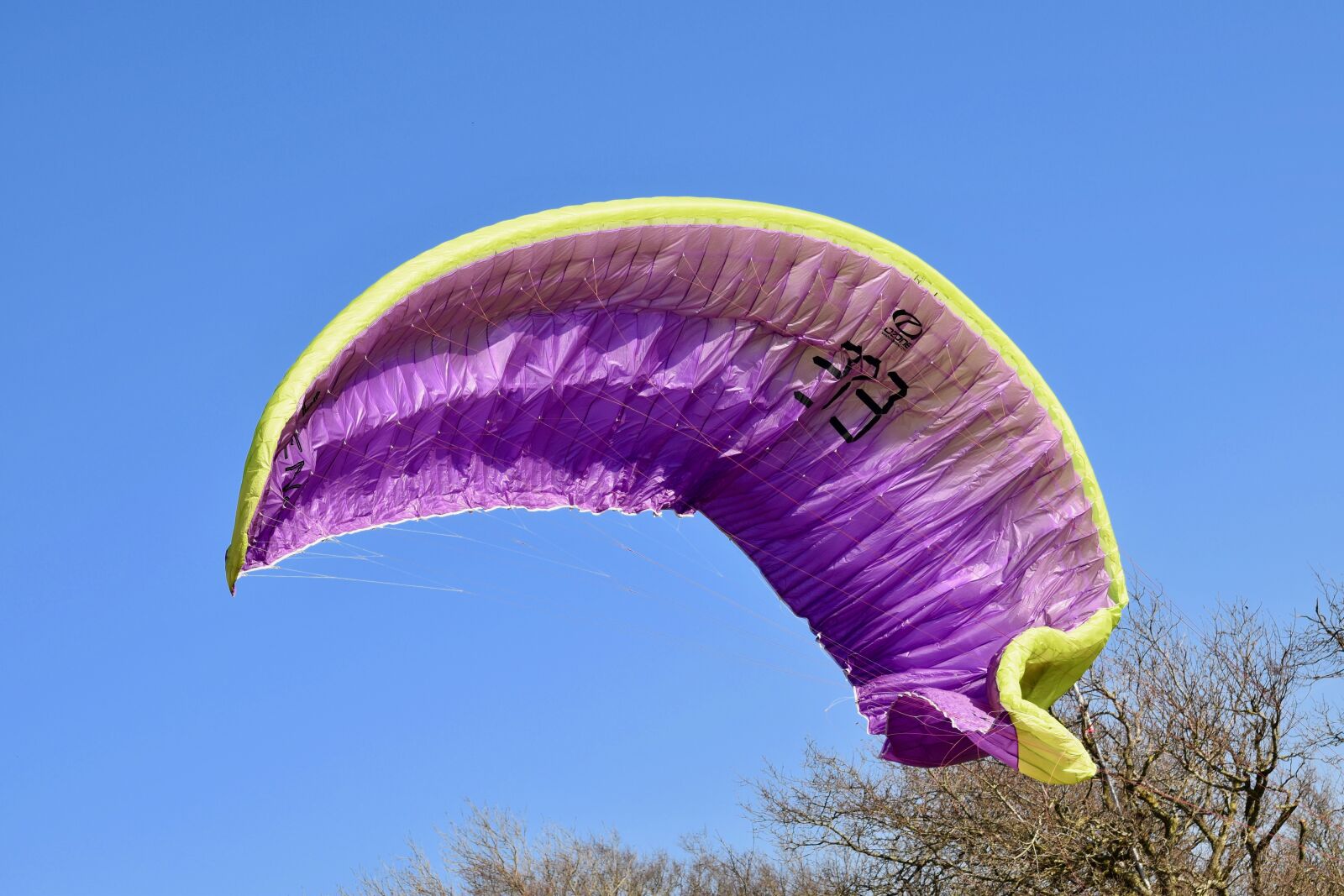 Nikon D5600 sample photo. Sailing paragliding, wing paragliding photography