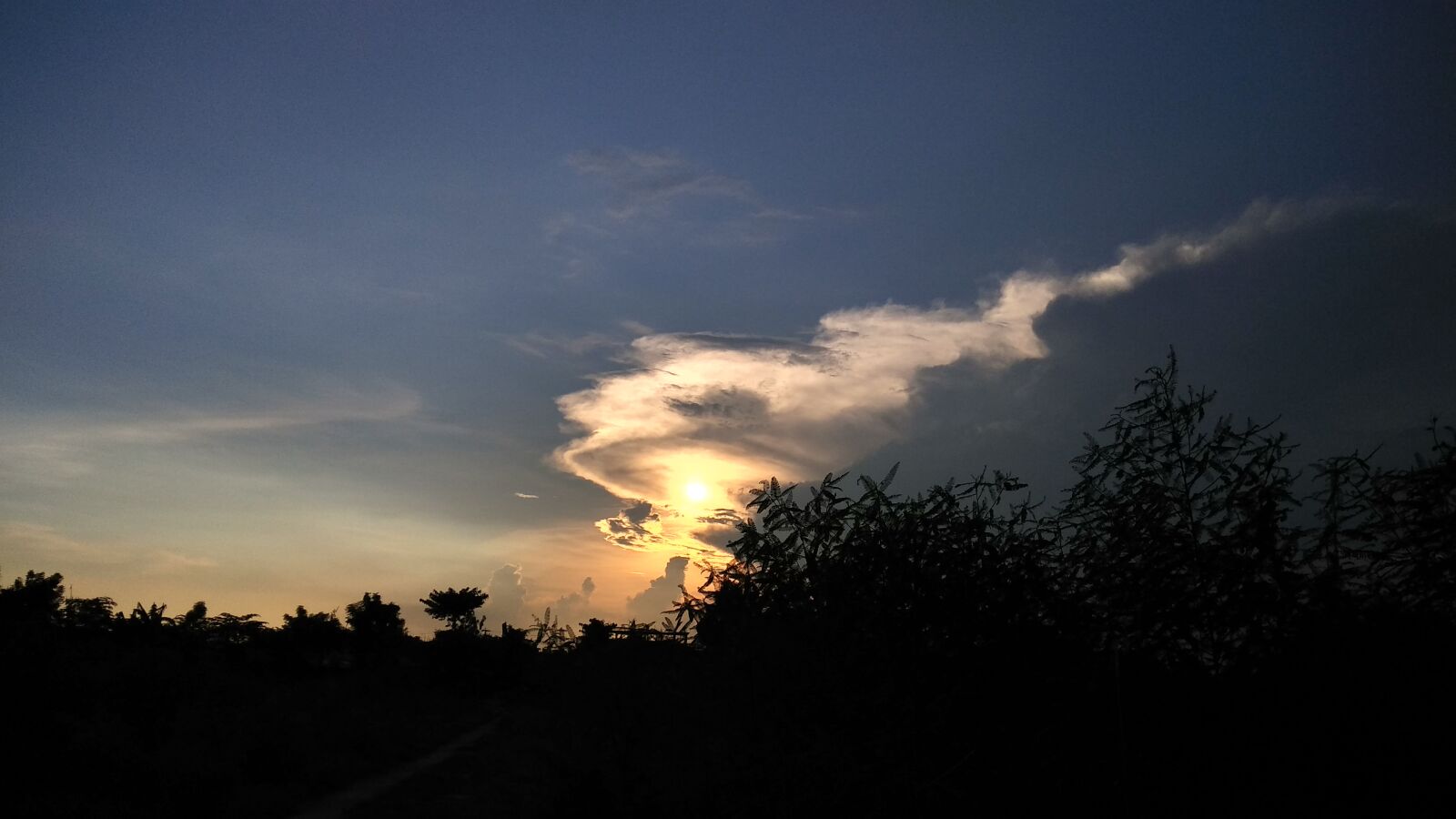 Xiaomi Redmi Note 4 sample photo