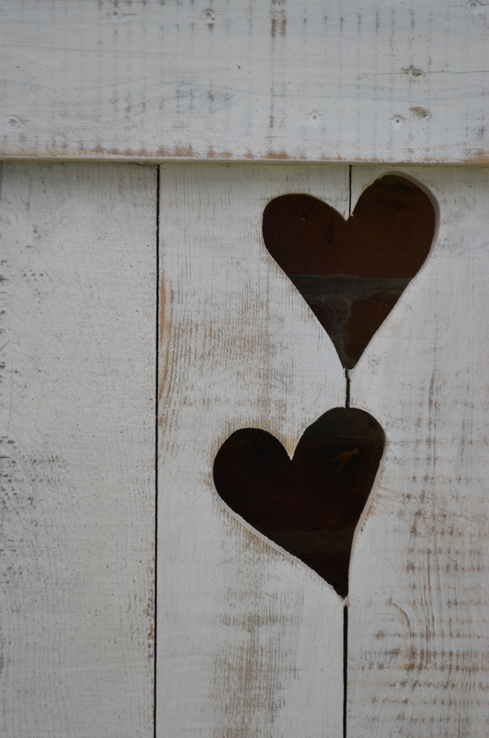 Nikon D5100 sample photo. Heart, love, wood photography