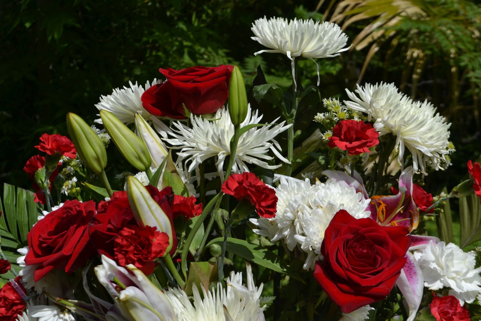 Nikon D3100 sample photo. Roses, bouquet, life photography