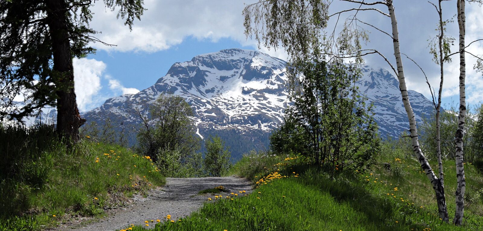 Canon EF-S 24mm F2.8 STM sample photo. Mountains, meadow, summer photography