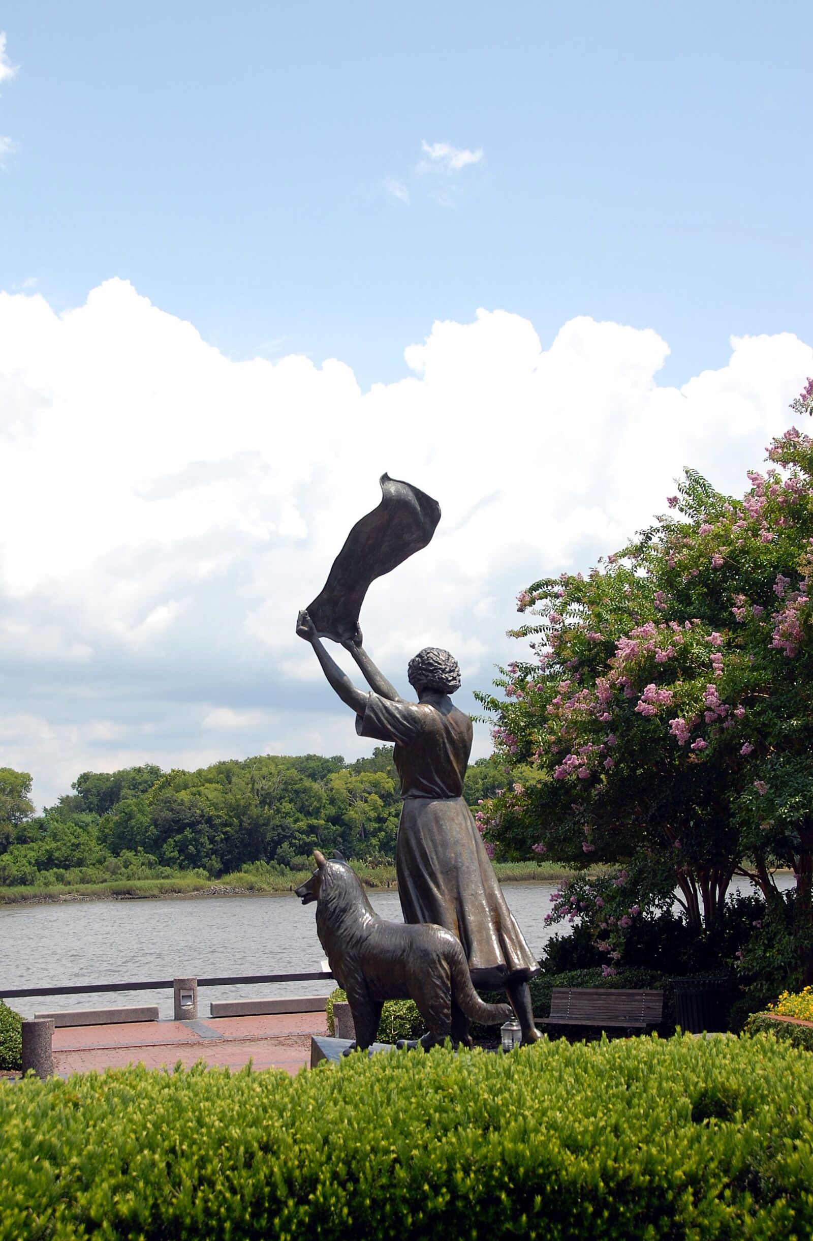 Nikon D200 sample photo. Famous waving lady, savannah photography