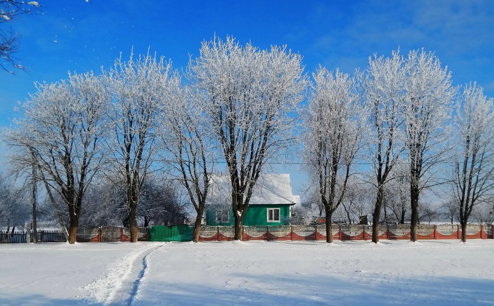 Nikon Coolpix L820 sample photo. House, winter, frost photography