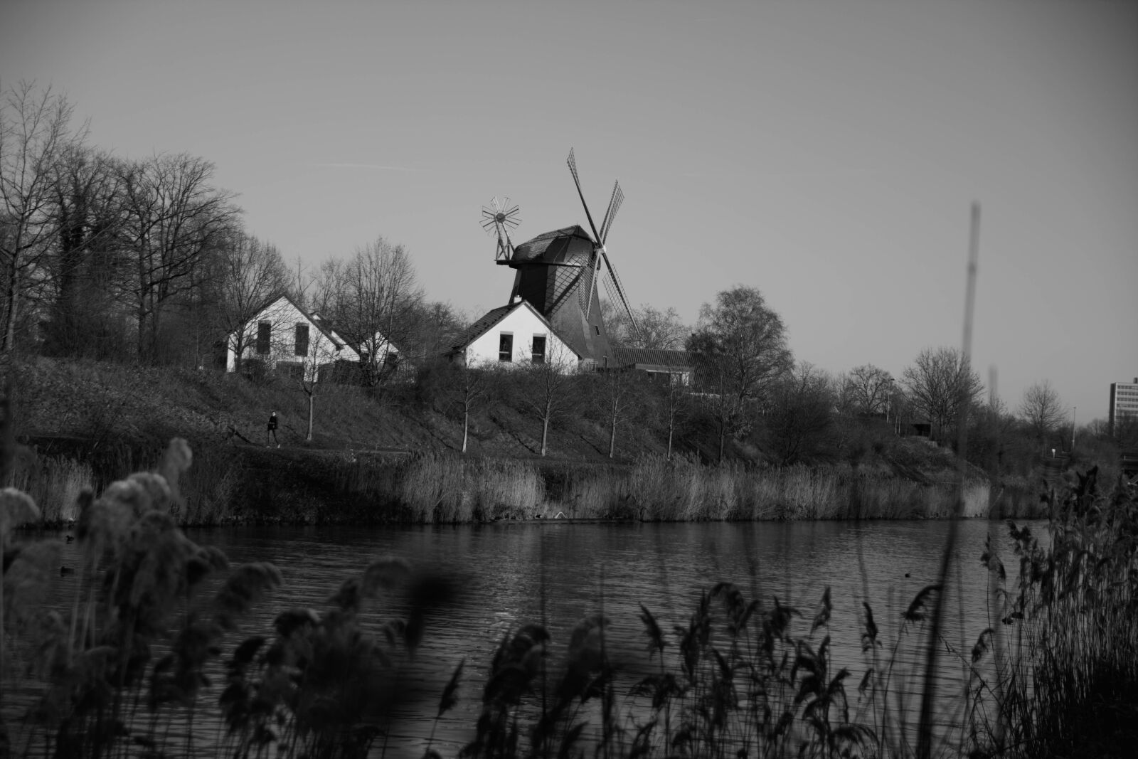 Nikon D5200 sample photo. Winter, frost, weather photography