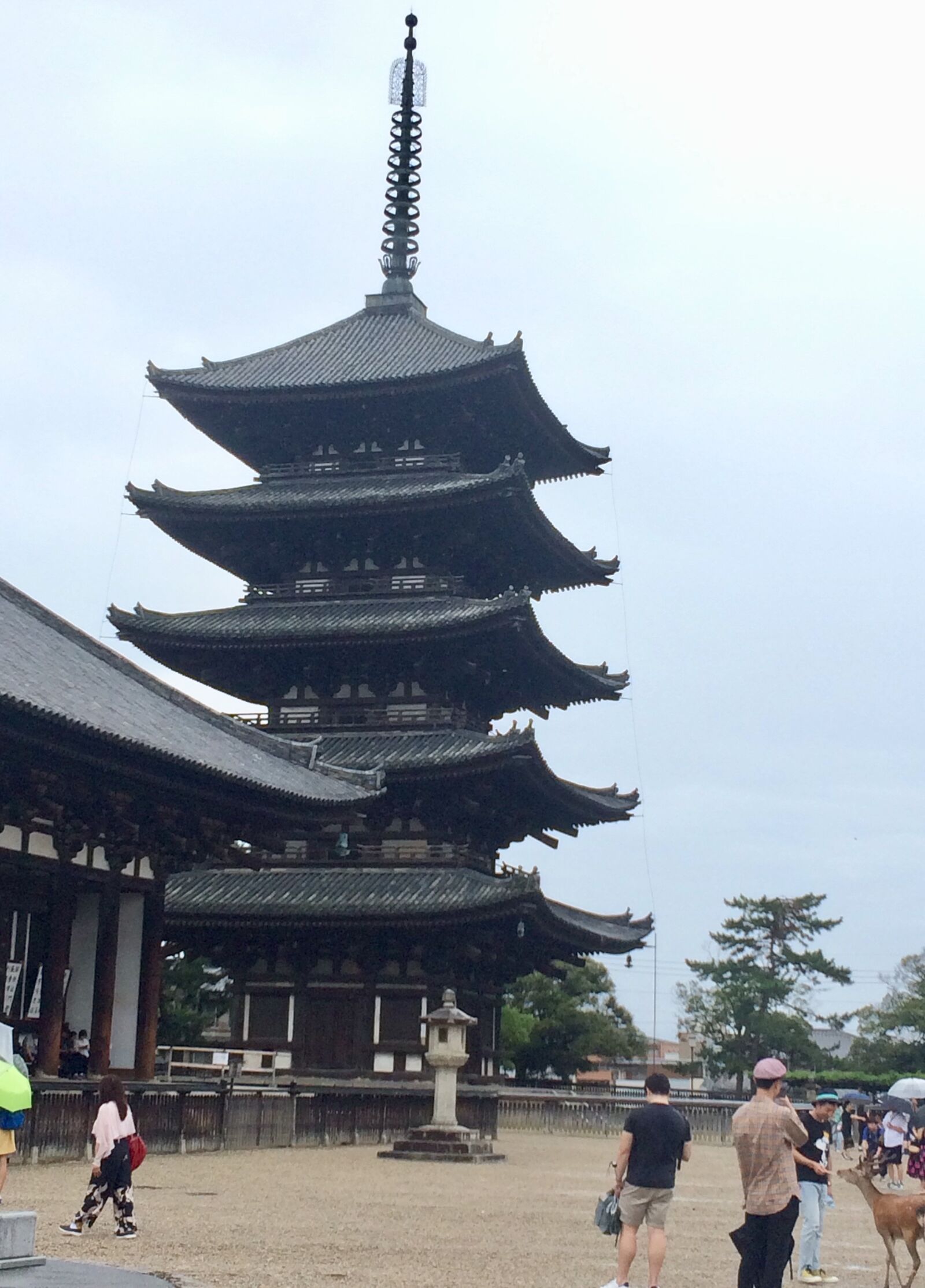iPhone 5s back camera 4.15mm f/2.2 sample photo. Torre, nara, japón photography