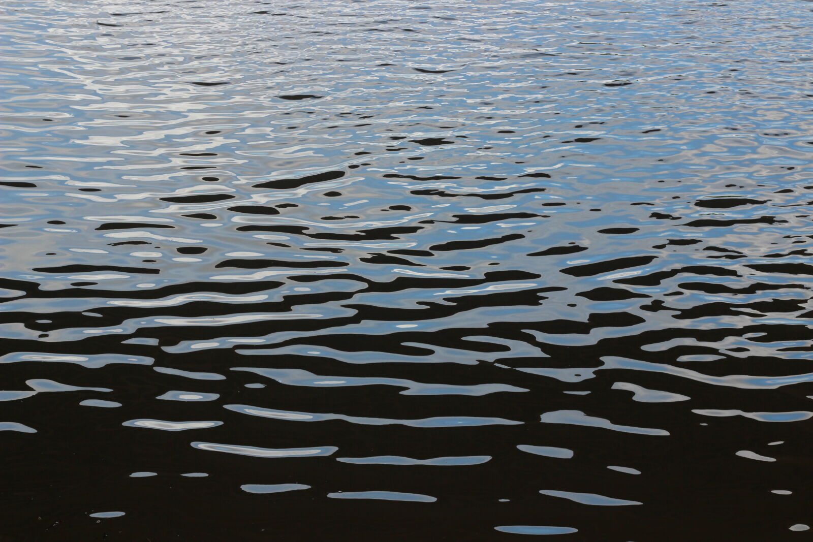 Canon EOS 600D (Rebel EOS T3i / EOS Kiss X5) + Canon EF 50mm F1.8 STM sample photo. Klang river photography