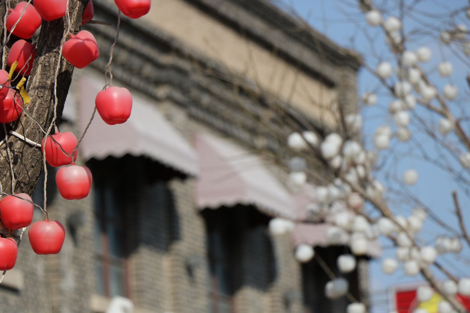 Canon EOS 760D (EOS Rebel T6s / EOS 8000D) sample photo. Spring, olddays, history photography