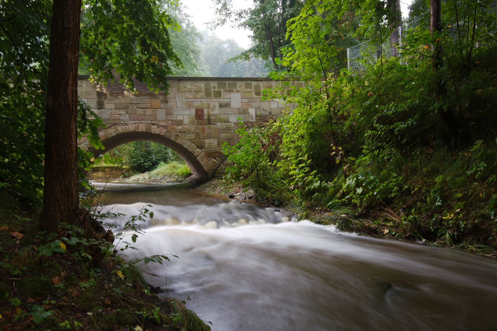 Canon EOS 6D sample photo. River, waters, nature photography