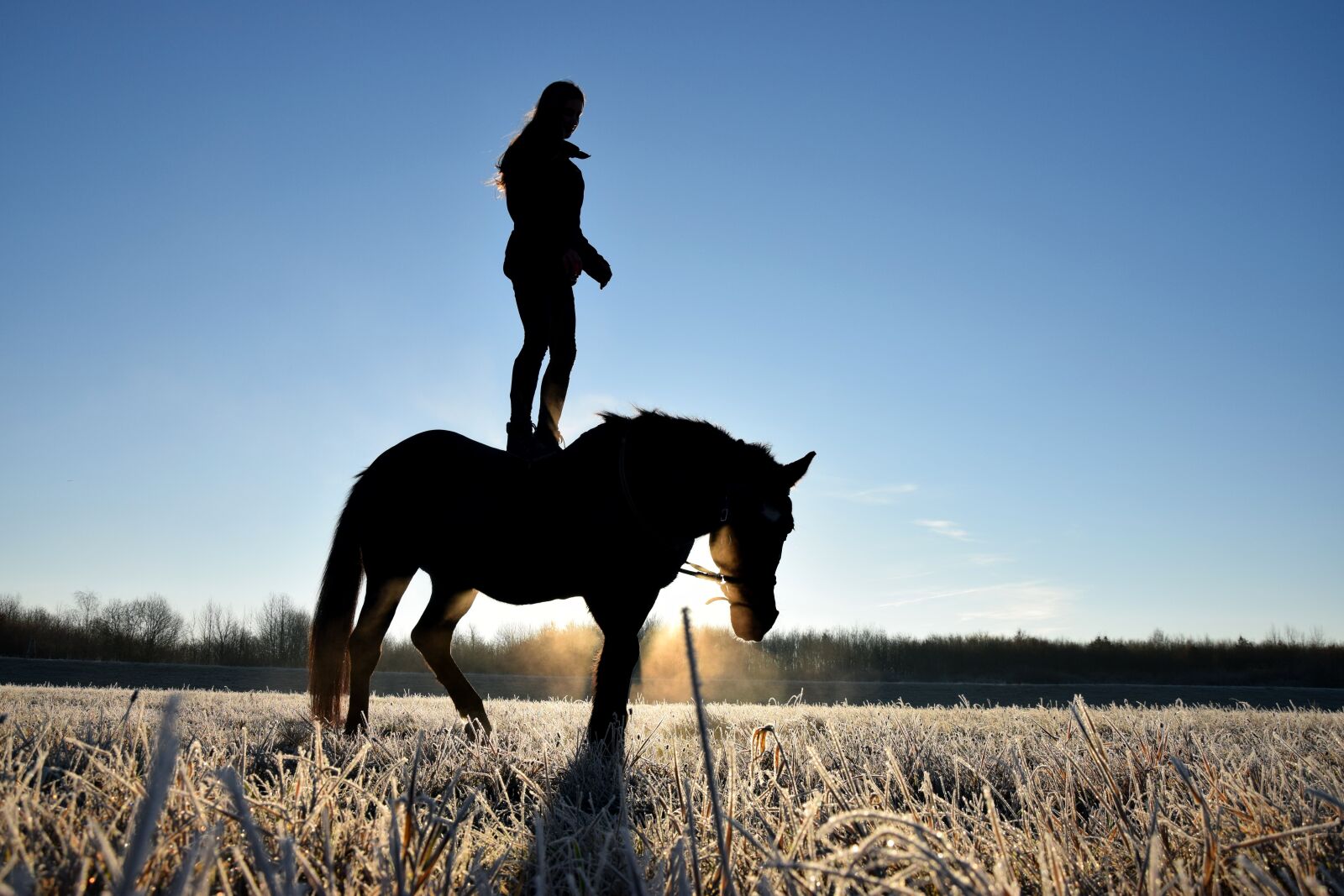 Nikon D3300 sample photo. Person on a horse photography