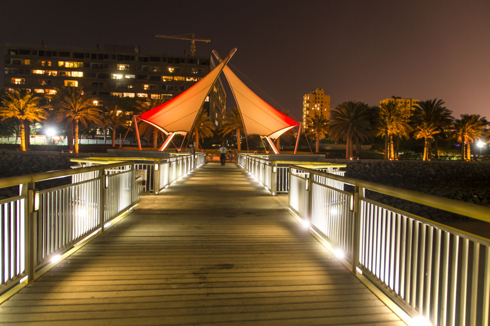 Nikon Df sample photo. Foot, bridge, night, walkway photography