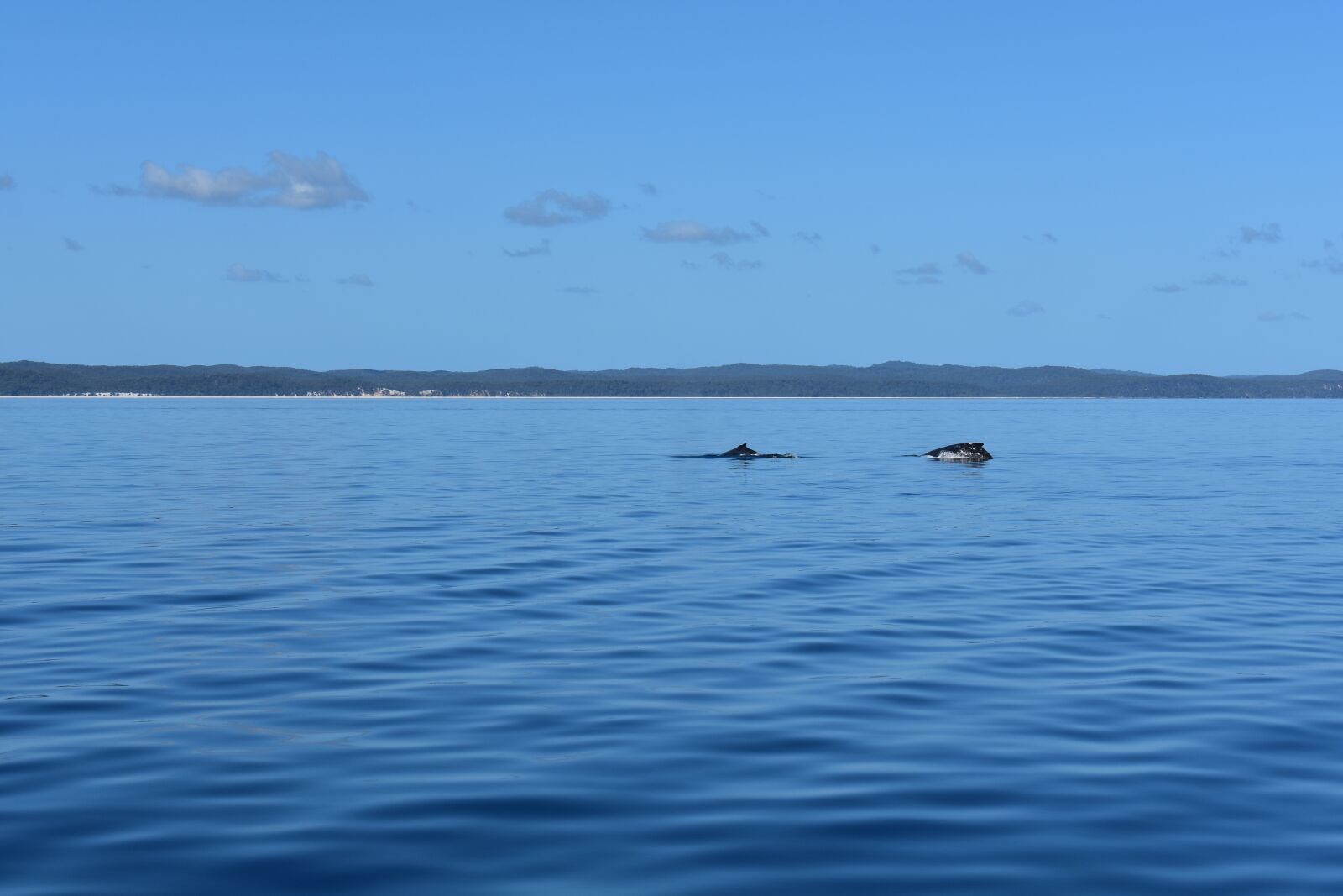 Nikon D3400 sample photo. Ocean, sea, water photography