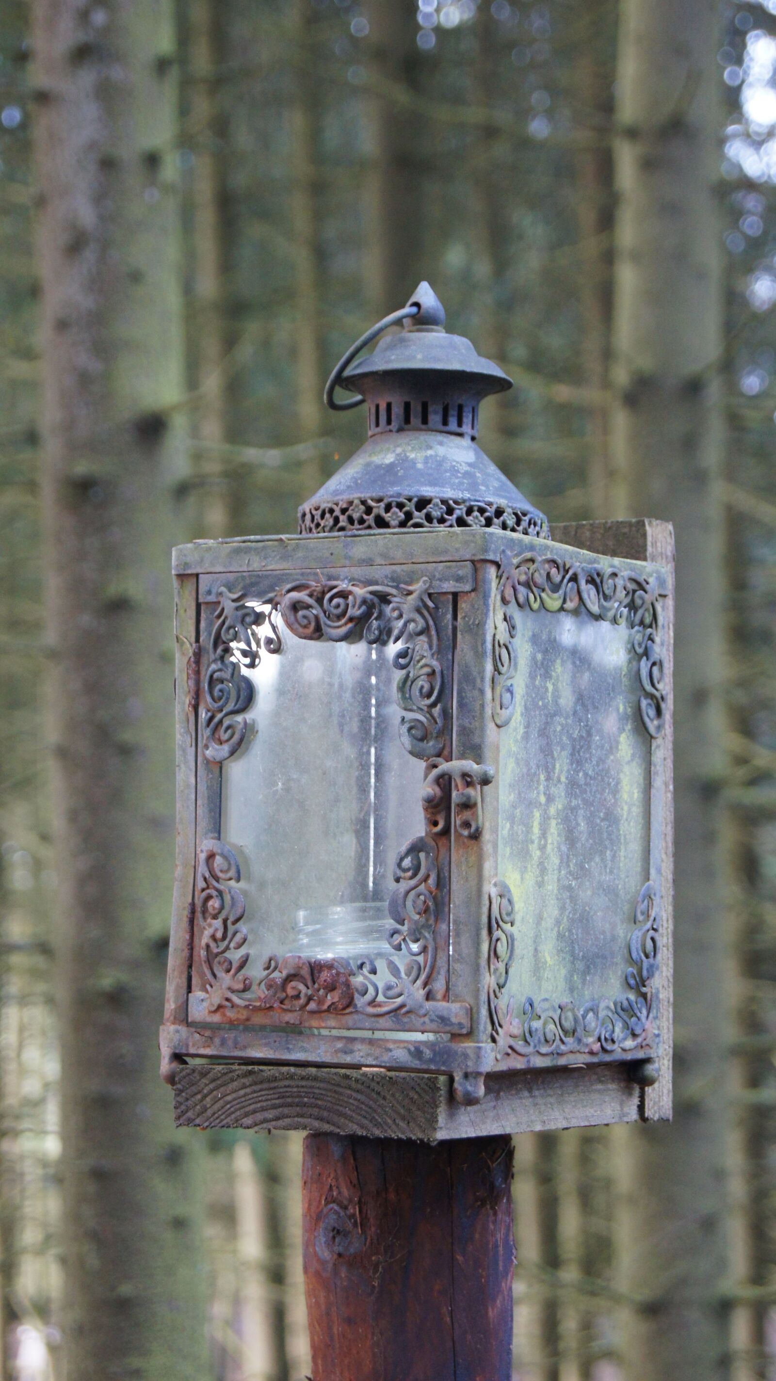Sony SLT-A55 (SLT-A55V) sample photo. Lantern, light, lamp photography